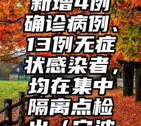 11月11日0-10时，浙江宁波市新增4例确诊病例、13例无症状感染者，均在集中隔离点检出（宁波无症状感染者共有几例）