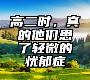 高二时，真的他们患了轻微的忧郁症