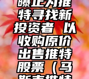 马斯克被曝正为推特寻找新投资者 以收购原价出售推特股票（马斯克推特最新动态）