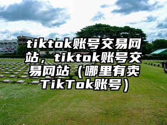 tiktok账号交易网站，tiktok账号交易网站（哪里有卖TikTok账号）