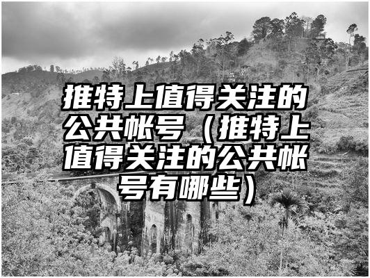 推特上值得关注的公共帐号（推特上值得关注的公共帐号有哪些）