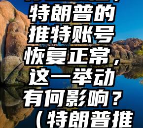 马斯克举行投票后,特朗普的推特账号恢复正常,这一举动有何影响?(特朗普推特公布证据)
