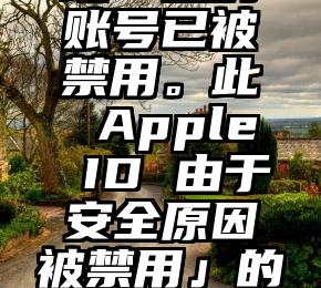为什么使用 iPhone 购买应用时出现「您的账号已被禁用。此 Apple ID 由于安全原因被禁用」的提示？如何解决？（iphone帐号被禁用）