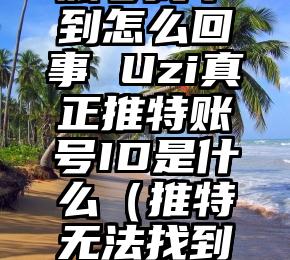 Uzi推特账号找不到怎么回事 Uzi真正推特账号ID是什么（推特无法找到账号怎么办）