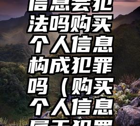 购买个人信息会犯法吗购买个人信息构成犯罪吗（购买个人信息属于犯罪吗）