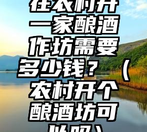 在农村开一家酿酒作坊需要多少钱？（农村开个酿酒坊可以吗）