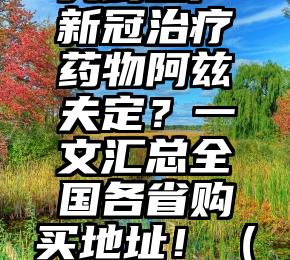 在哪可以买到国产新冠治疗药物阿兹夫定？一文汇总全国各省购买地址！（治疗新冠有用的药）