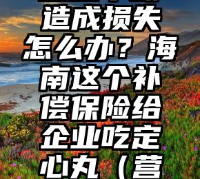 疫情防控营业中断造成损失怎么办？海南这个补偿保险给企业吃定心丸（营业中断险 疫情）