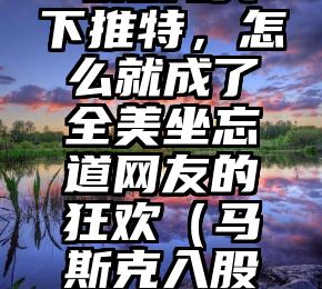 马斯克买下推特,怎么就成了全美坐忘道网友的狂欢(马斯克入股比特币)