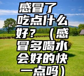 感冒了 吃点什么好？（感冒多喝水会好的快一点吗）