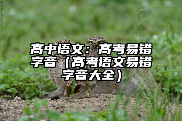 高中语文：高考易错字音（高考语文易错字音大全）