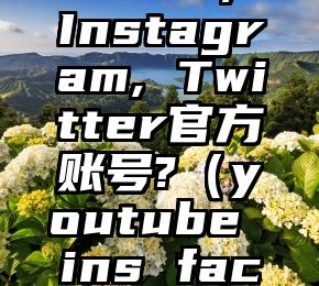 如何分别运营Facebook, Instagram, Twitter官方账号?（youtube ins facebook twitter区别）