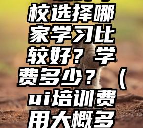 UI设计学校选择哪家学习比较好？学费多少？（ui培训费用大概多少）