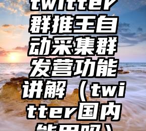 twitter群推王自动采集群发营功能讲解（twitter国内能用吗）