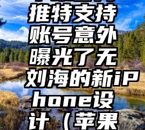 苹果官方推特支持账号意外曝光了无刘海的新iPhone设计（苹果用户推特）