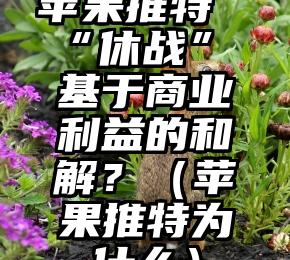 苹果推特“休战” 基于商业利益的和解？（苹果推特为什么）