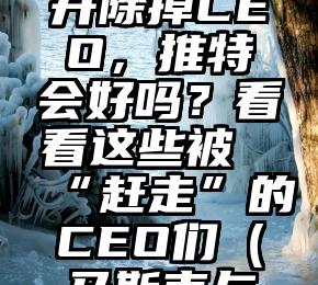 被马斯克开除掉CEO，推特会好吗？看看这些被“赶走”的CEO们（马斯克与推特ceo）