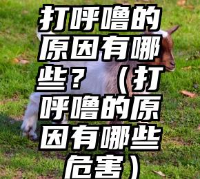 打呼噜的原因有哪些？（打呼噜的原因有哪些危害）