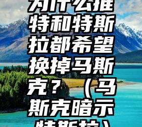 为什么推特和特斯拉都希望换掉马斯克？（马斯克暗示特斯拉）
