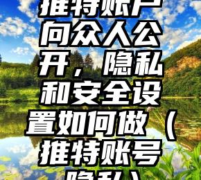 推特账户向众人公开，隐私和安全设置如何做（推特账号隐私）