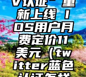 推特“蓝V认证”重新上线 IOS用户月费定价11美元（twitter蓝色认证怎样申请）