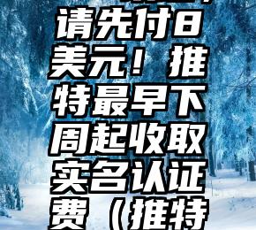 想获“蓝V”认证，请先付8美元！推特最早下周起收取实名认证费（推特蓝标认证什么意思）