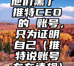他们黑了 推特CEO 的 账号，只为证明自己（推特说账号存在违规）
