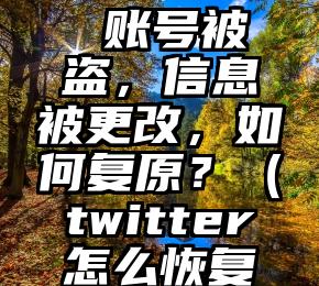 Twitter 账号被盗，信息被更改，如何复原？（twitter怎么恢复账号）