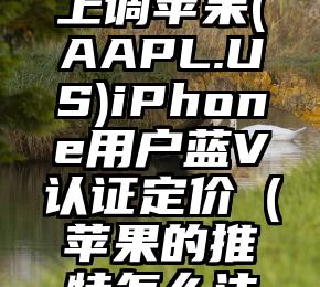 传推特将上调苹果(AAPL.US)iPhone用户蓝V认证定价（苹果的推特怎么注册不了）