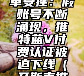马斯克改革受挫：假账号不断涌现，推特蓝V付费认证被迫下线（马斯克推特转发）