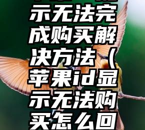 苹果id提示无法完成购买解决方法（苹果id显示无法购买怎么回事）