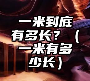一米到底有多长？（一米有多少长）