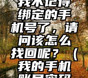 您好，我之前的账号丢失了，我不记得绑定的手机号了，请问该怎么找回呢？（我的手机账号密码忘了绑定的手机号没用了）