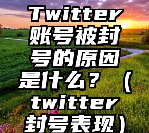 Twitter账号被封号的原因是什么？（twitter封号表现）