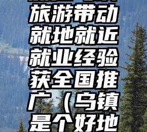 浙江乌镇旅游带动就地就近就业经验获全国推广（乌镇是个好地方作文）