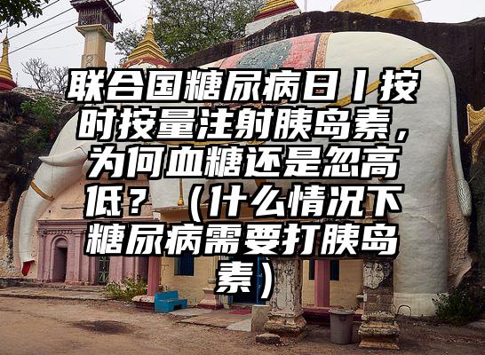 联合国糖尿病日丨按时按量注射胰岛素，为何血糖还是忽高低？（什么情况下糖尿病需要打胰岛素）