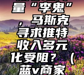 付费蓝V账号现大量“李鬼”，马斯克寻求推特收入多元化受阻？（蓝v商家号需要钱吗）