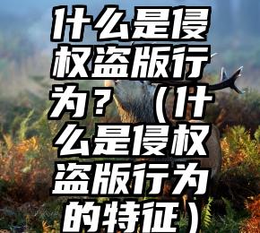 什么是侵权盗版行为？（什么是侵权盗版行为的特征）