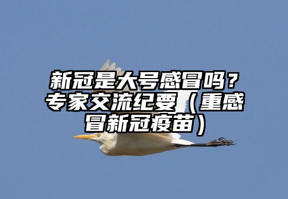 新冠是大号感冒吗？专家交流纪要（重感冒新冠疫苗）