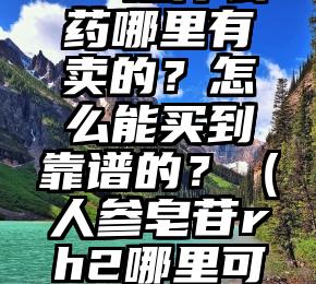 人参皂苷rh2是什么药哪里有卖的？怎么能买到靠谱的？（人参皂苷rh2哪里可以买到正品）