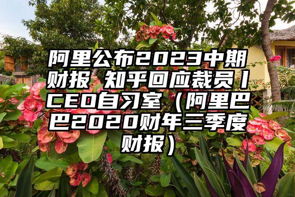 阿里公布2023中期财报 知乎回应裁员丨CEO自习室（阿里巴巴2020财年三季度财报）