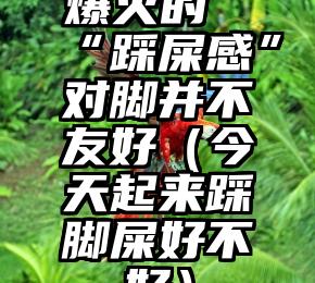 爆火的“踩屎感”对脚并不友好（今天起来踩脚屎好不好）