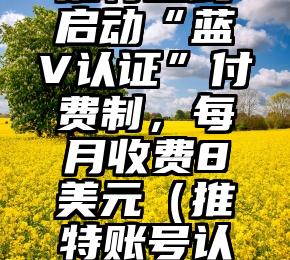 推特正式启动“蓝V认证”付费制，每月收费8美元（推特账号认证条件）