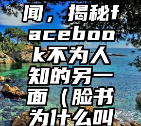 脸谱陷丑闻，揭秘facebook不为人知的另一面（脸书为什么叫脸书）