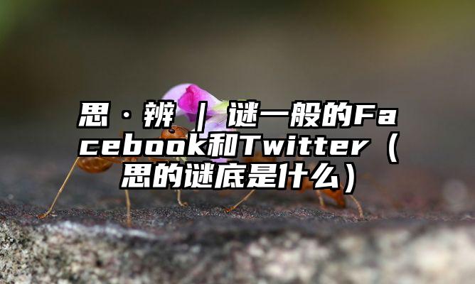 思·辨 | 谜一般的Facebook和Twitter（思的谜底是什么）