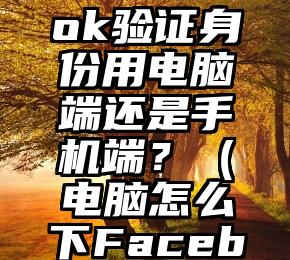 Facebook验证身份用电脑端还是手机端？（电脑怎么下Facebook）