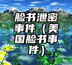 脸书泄密事件（美国脸书事件）