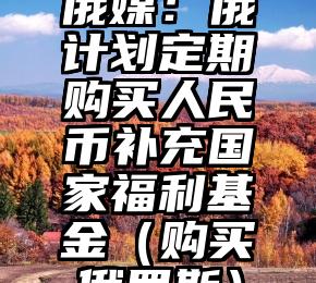 俄媒：俄计划定期购买人民币补充国家福利基金（购买俄罗斯）