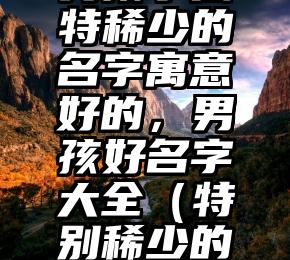 男孩子独特稀少的名字寓意好的，男孩好名字大全（特别稀少的男孩名字）