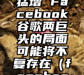 奋起直追！苹果在线广告业务猛增 Facebook谷歌两巨头的局面可能将不复存在（facebook的广告营销广东代理）